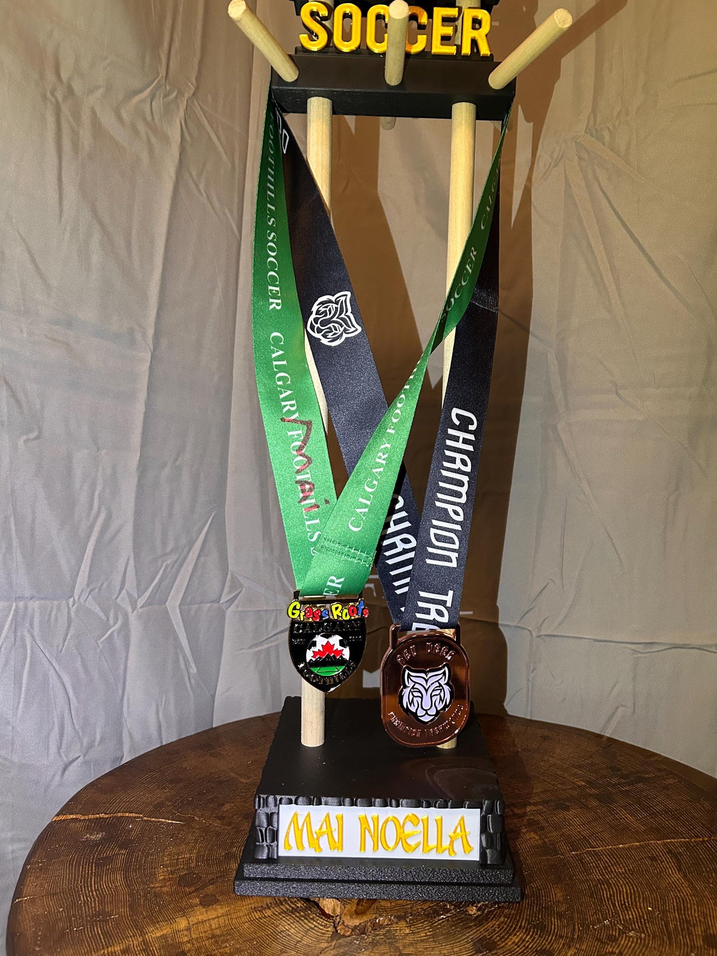 Custom Personalize Medal and Hat Display Personalized Sports Holder for Hockey, Curling, Football and More Name & Motivational Quote Option