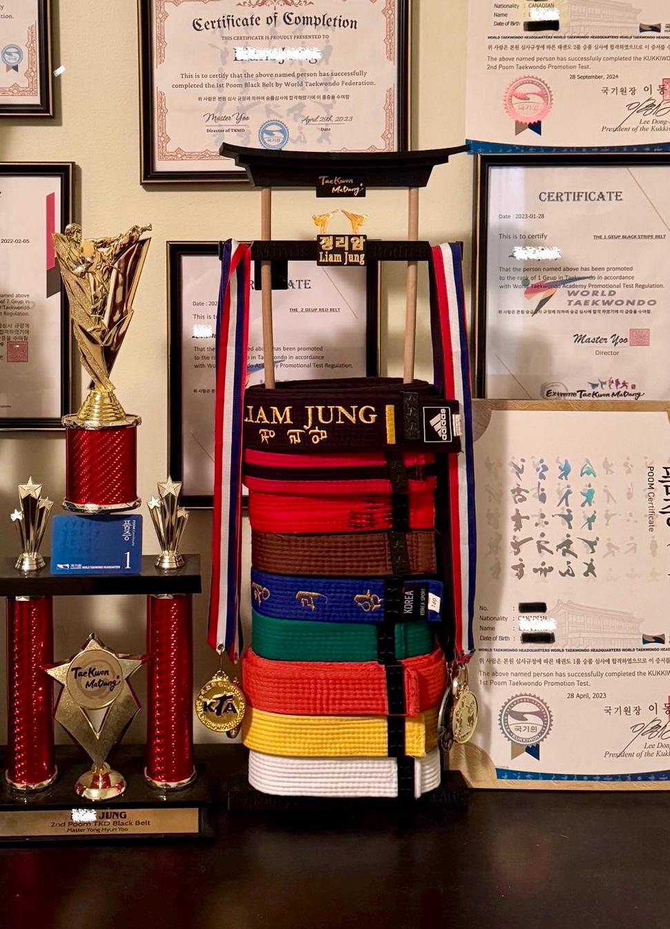 Martial Arts Belt Display Rack, Custom and personalize Martial Arts belt, Stylish & Organized Storage Solution for martial arts belt