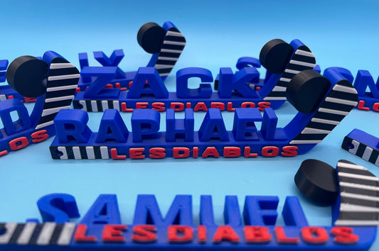 Custom Personalize Nameplate hockey sticks, a Pack of 10 unique nametags, Gift for every hockey fan or team-building for coach and parents