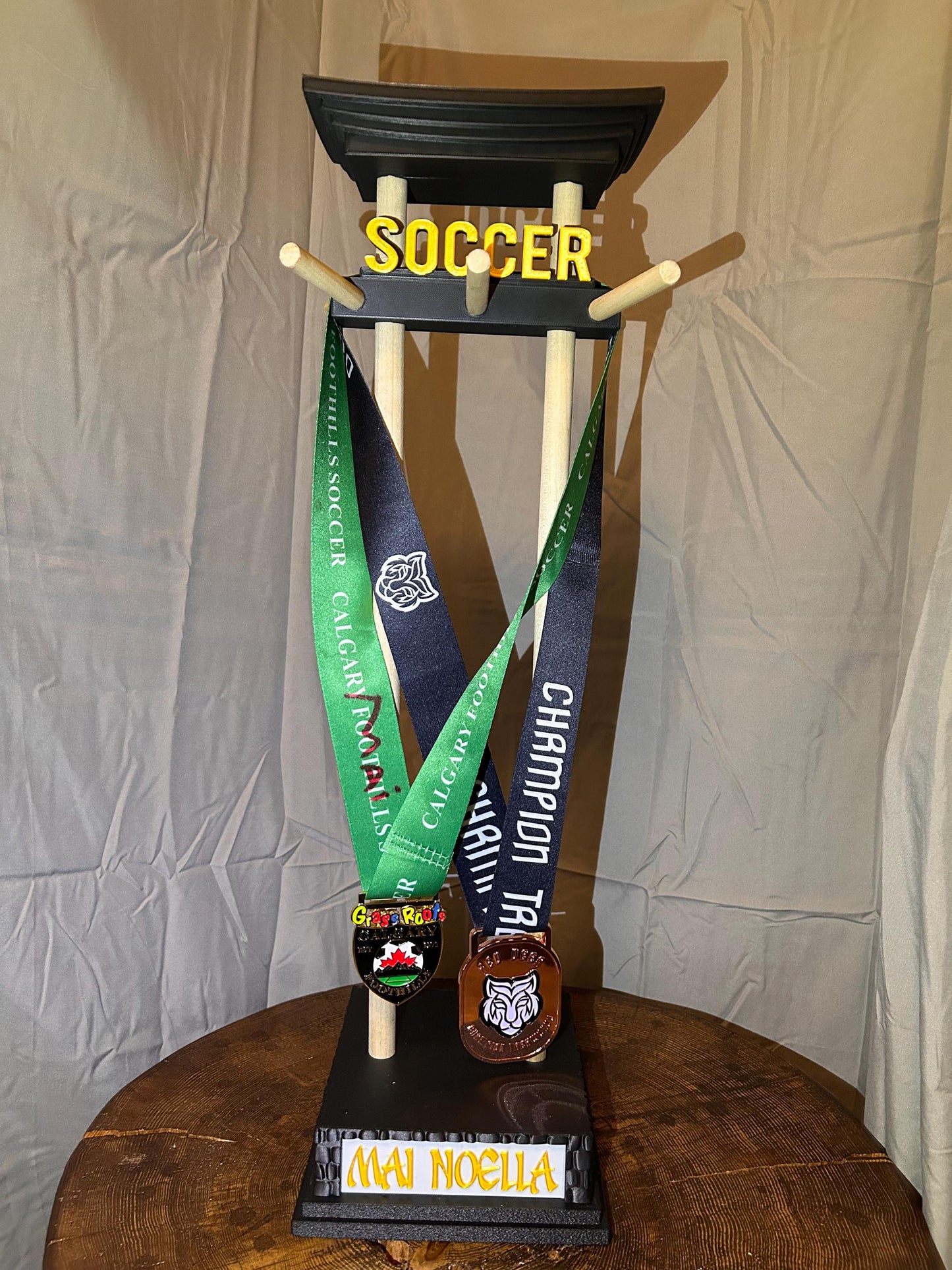 Custom Personalize Medal and Hat Display Personalized Sports Holder for Hockey, Curling, Football and More Name & Motivational Quote Option