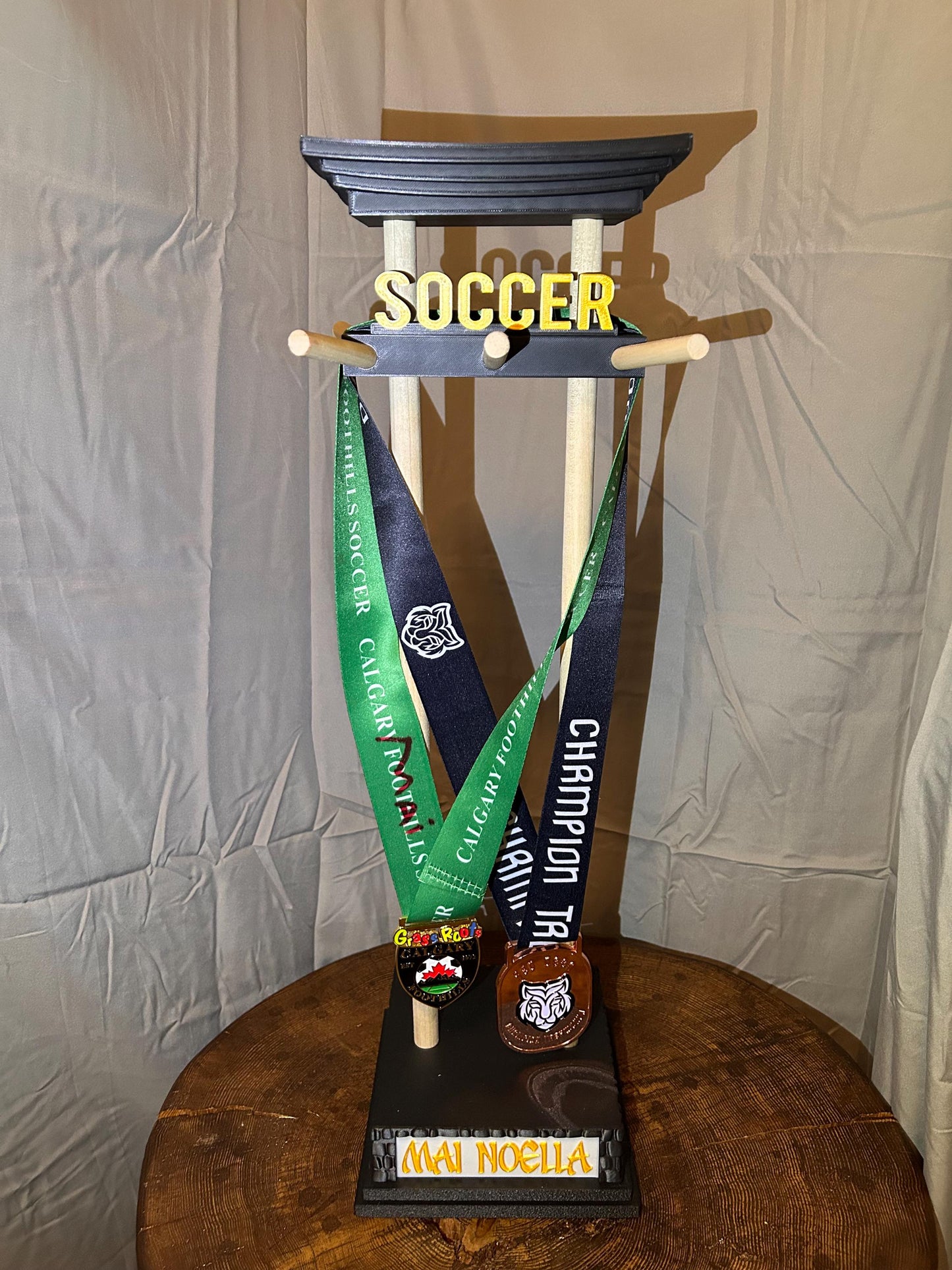 Custom Personalize Medal and Hat Display Personalized Sports Holder for Hockey, Curling, Football and More Name & Motivational Quote Option